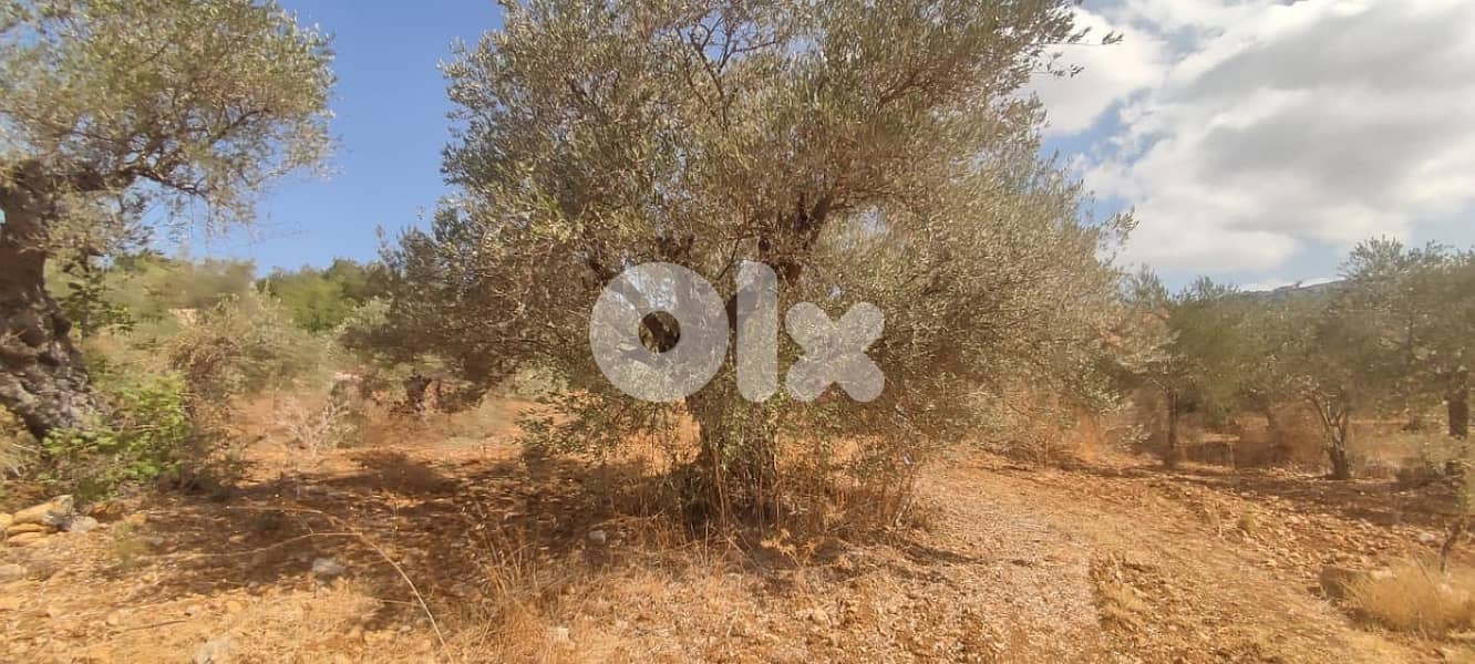 4500 Sqm Land For Sale In Hasbaya ارض للبيع في حاصبيا 1