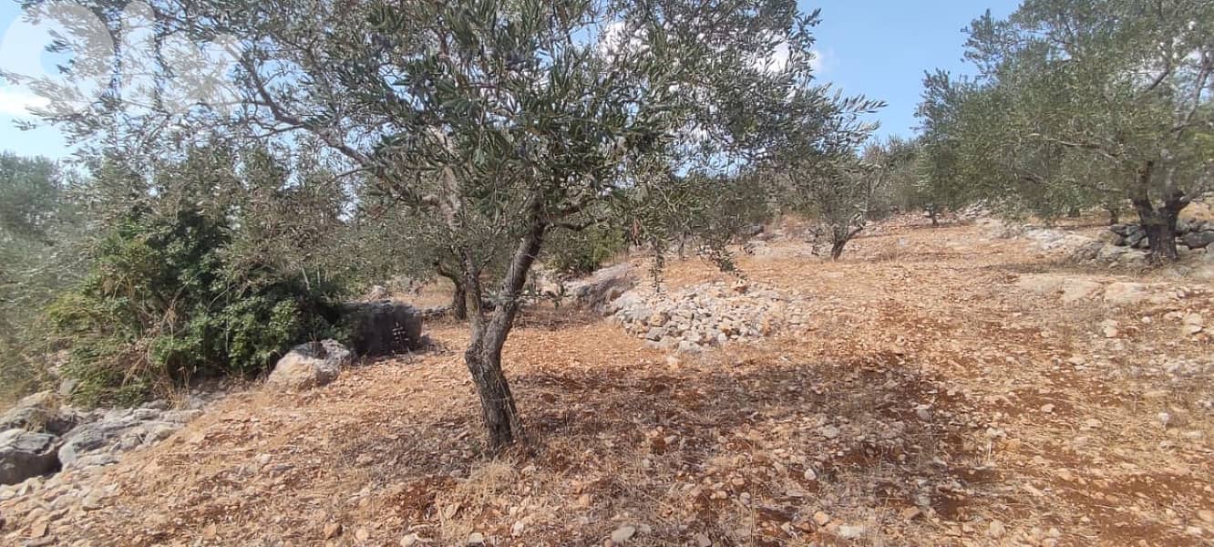 4500 Sqm Land For Sale In Hasbaya ارض للبيع في حاصبيا 2