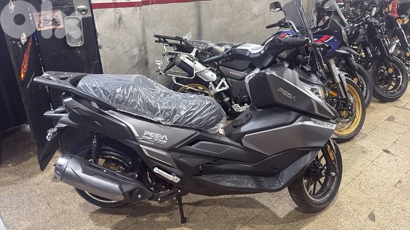 PEDA RT2 1