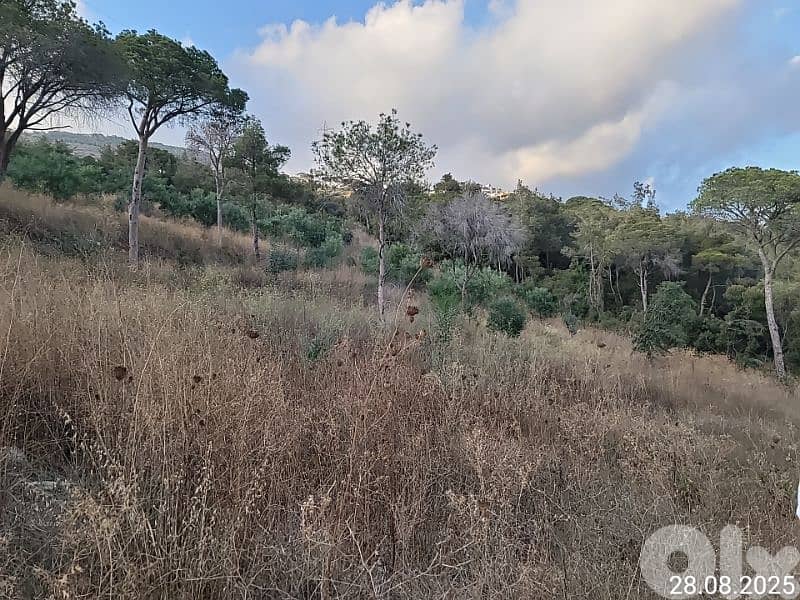 2 land for sale monteverdy 0