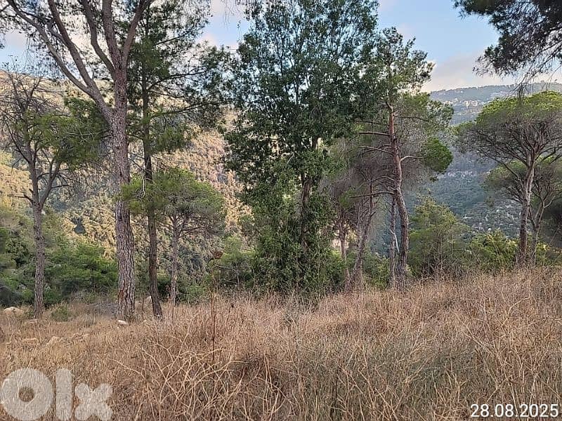 2 land for sale monteverdy 1