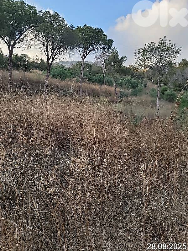 2 land for sale monteverdy 3