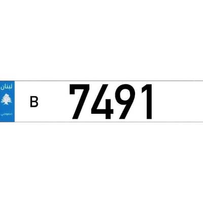 B  7491  Car Plate Number Sak Tokhsis Jehez (Birth Date 7/4/91)