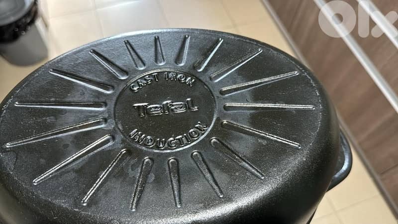 Tefal Cast Iron 5