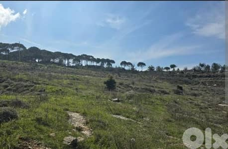Great Opportunity l 1550 SQM Land in Bhamdoun l Ref: MO