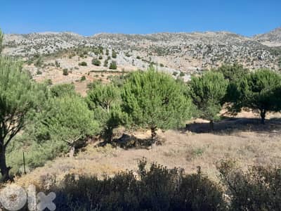 3500 Sqm Land For Sale In Hasbaya El Kfeir ارض للبيع في حاصبيا الكفير