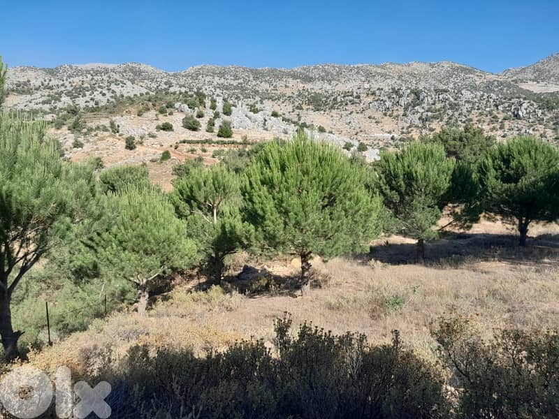3500 Sqm Land For Sale In Hasbaya El Kfeir ارض للبيع في حاصبيا الكفير 0