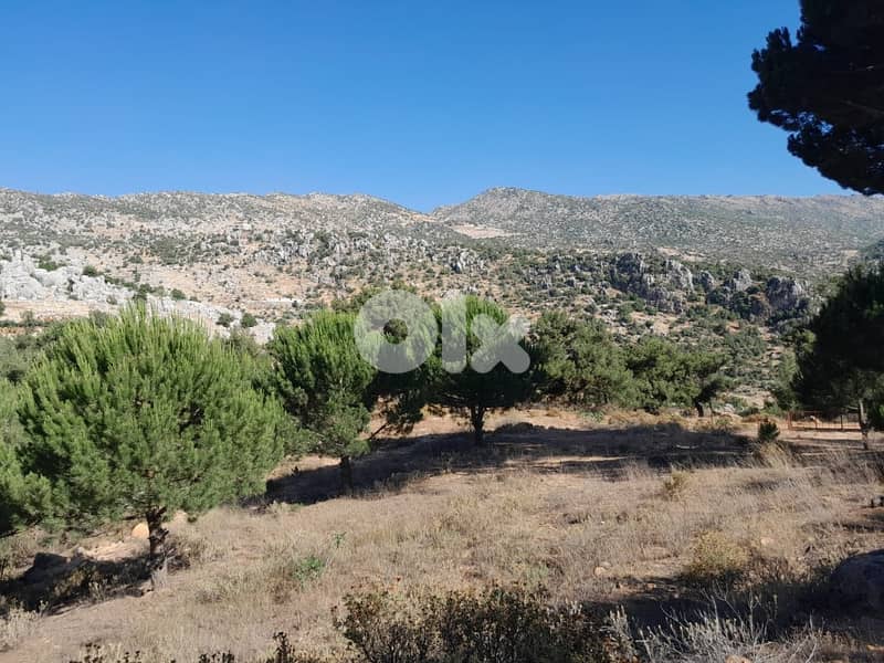 3500 Sqm Land For Sale In Hasbaya El Kfeir ارض للبيع في حاصبيا الكفير 1