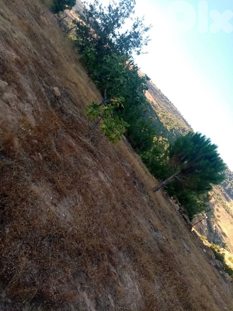 3500 Sqm Land For Sale In Hasbaya El Kfeir ارض للبيع في حاصبيا الكفير 2