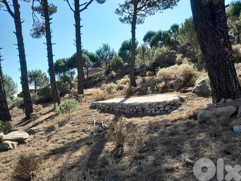 3500 Sqm Land For Sale In Hasbaya El Kfeir ارض للبيع في حاصبيا الكفير 3