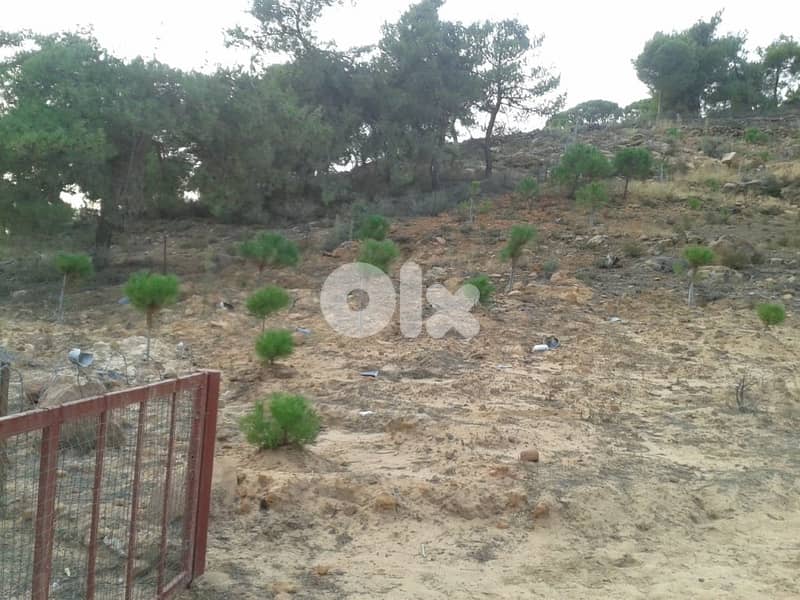3500 Sqm Land For Sale In Hasbaya El Kfeir ارض للبيع في حاصبيا الكفير 4