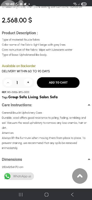 curved couches salon 3