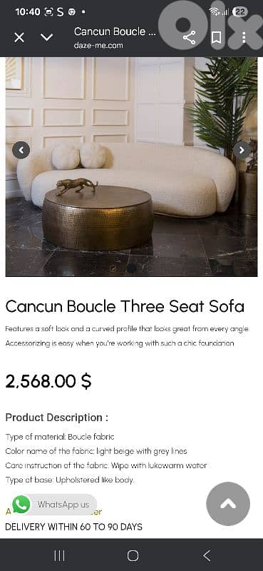 curved couches salon 4