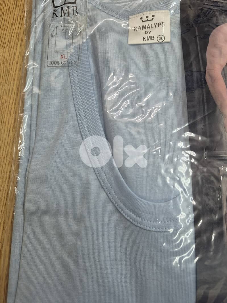 underwear and T-Shirt 2