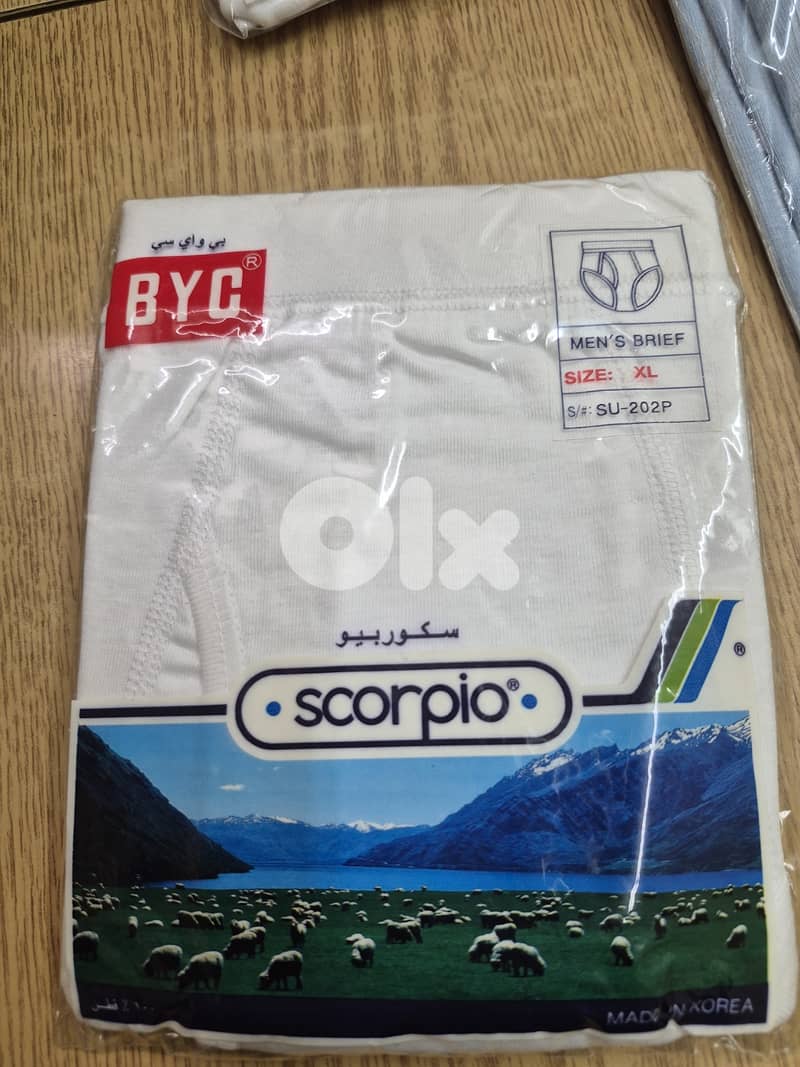 underwear and T-Shirt 3