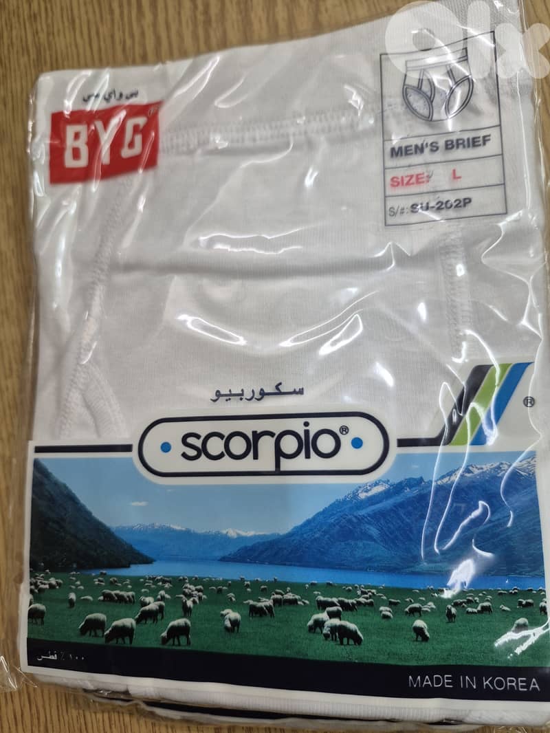 underwear and T-Shirt 4