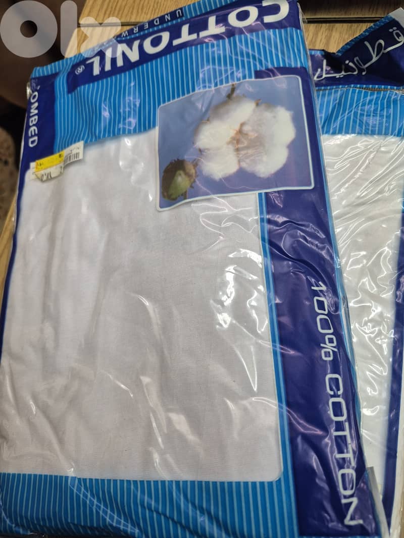 underwear and T-Shirt 6