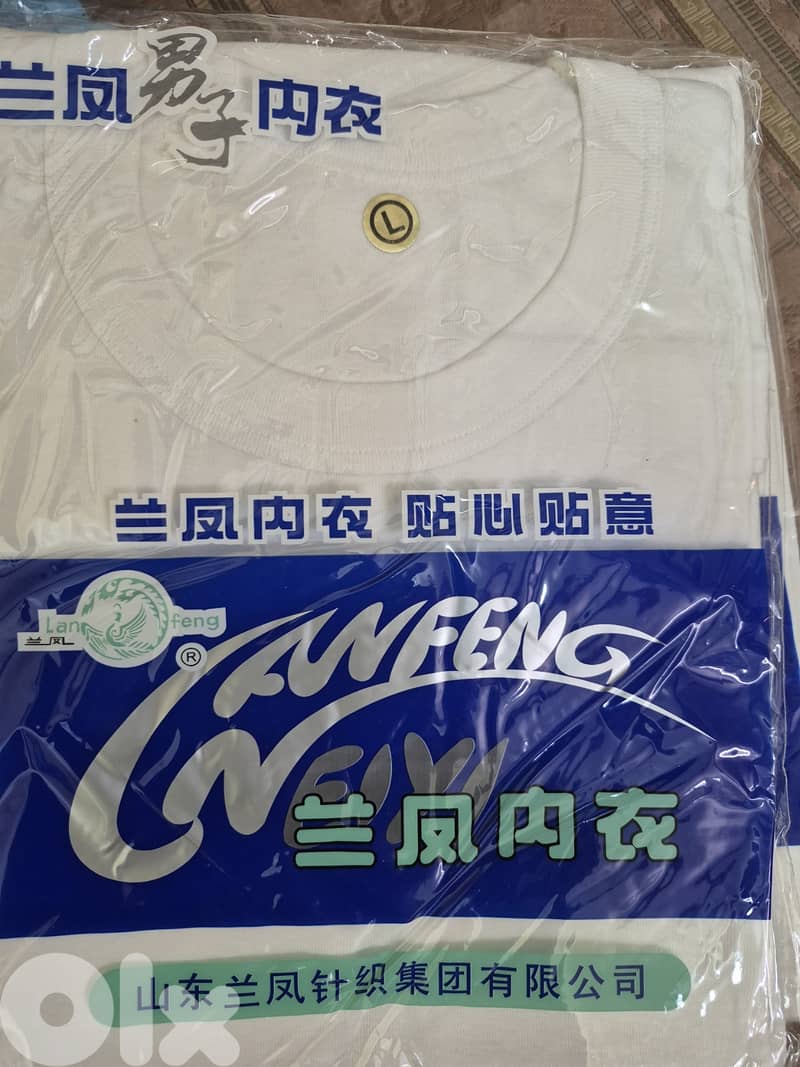 underwear and T-Shirt 8