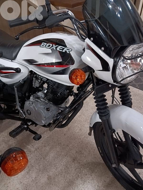 Bajaj Boxer 150cc 0klm dealer warranty model 2025 11