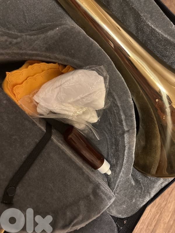 Trombone Instrument 2
