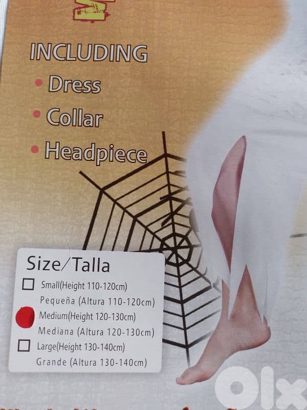 mummy queen costume 1