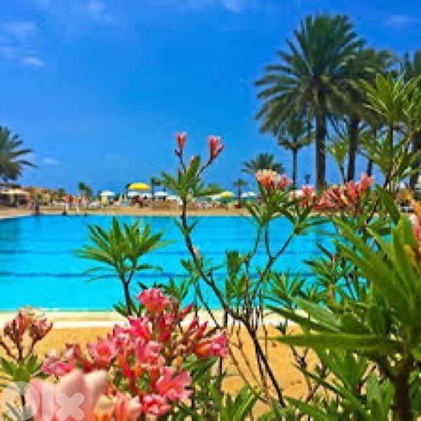 chalet Portemilio kaslik for sale 1