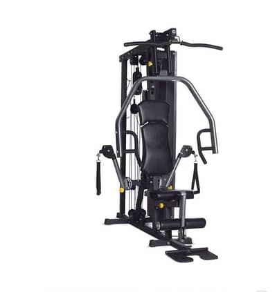 Horizon Torus 3 multi-gym