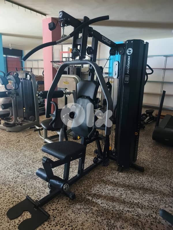 Horizon Torus 3 multi-gym 3