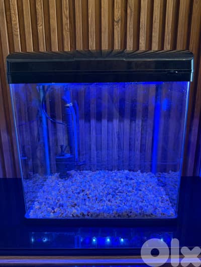 Aquarium with Filter & Light