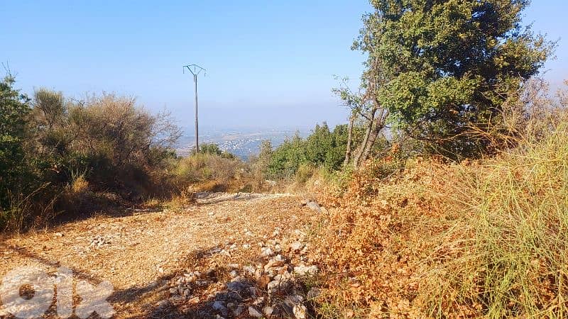 lands for sale in Assia-Batrounارض للبيع في أسيا-البترون 2