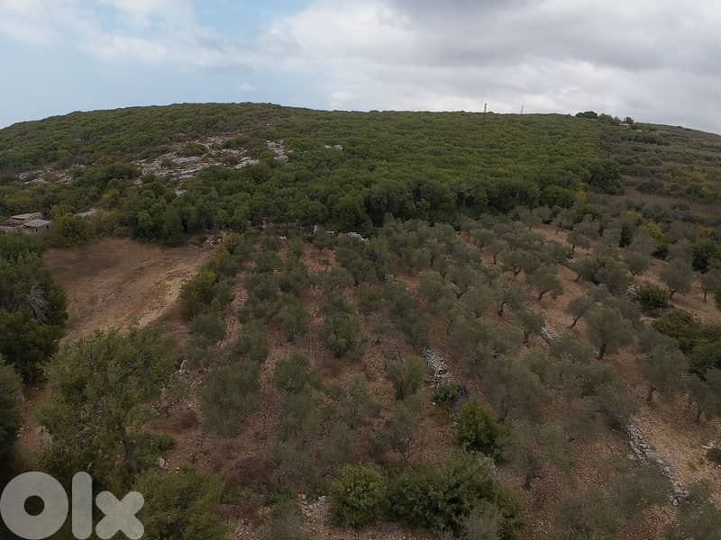 Land for sale in Hamat/ View 7