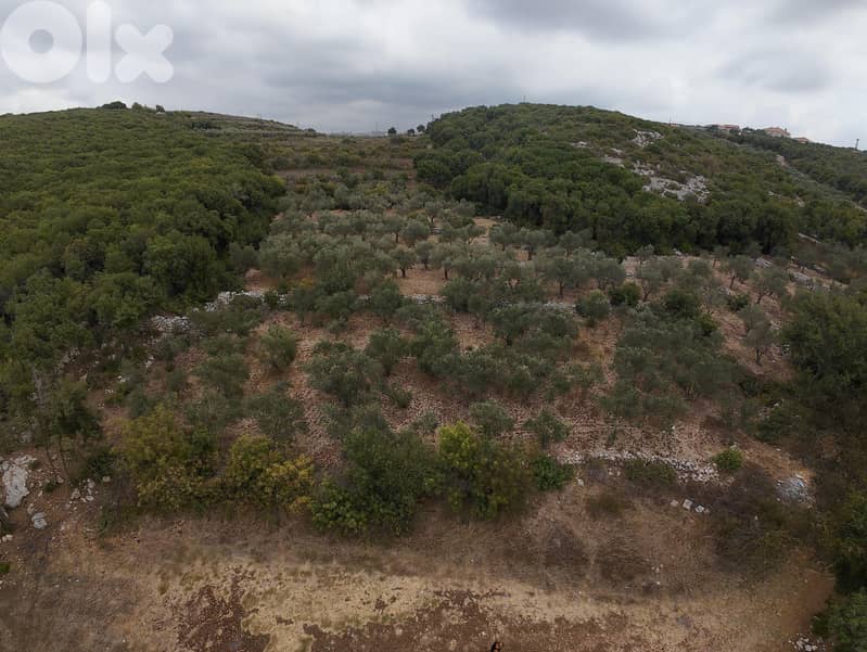 Land for sale in Hamat/ View 4