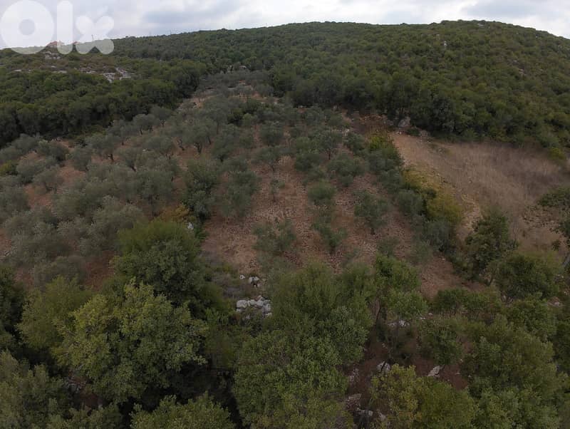 Land for sale in Hamat/ View 6