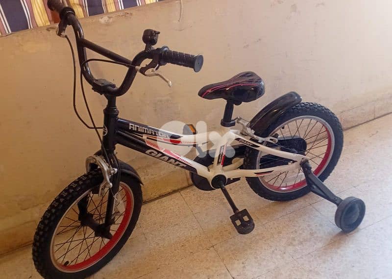 bicycle 1