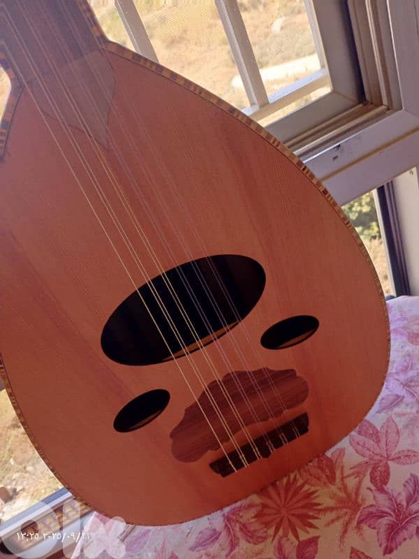 عود مميز بسعر مميز 2