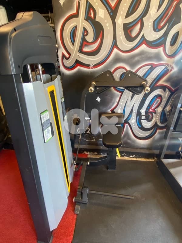 3 CYBEX MACHINES + 1 abs machine 1