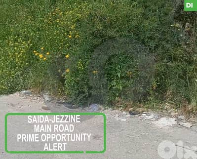 802 SQM Land for Sale in SAIDA-  HLALIYEH REF#DI104022