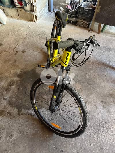 giant bicycle new