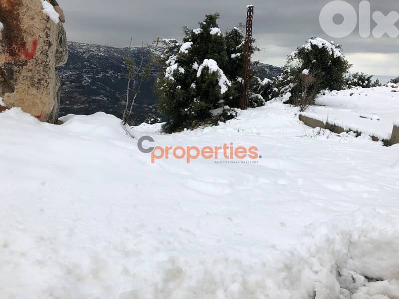 Land for Sale In Qartaba - CPJJA109 0