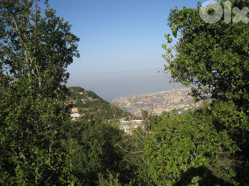 Stunning LAND For SALE in FATQA أرض في فتقا 2