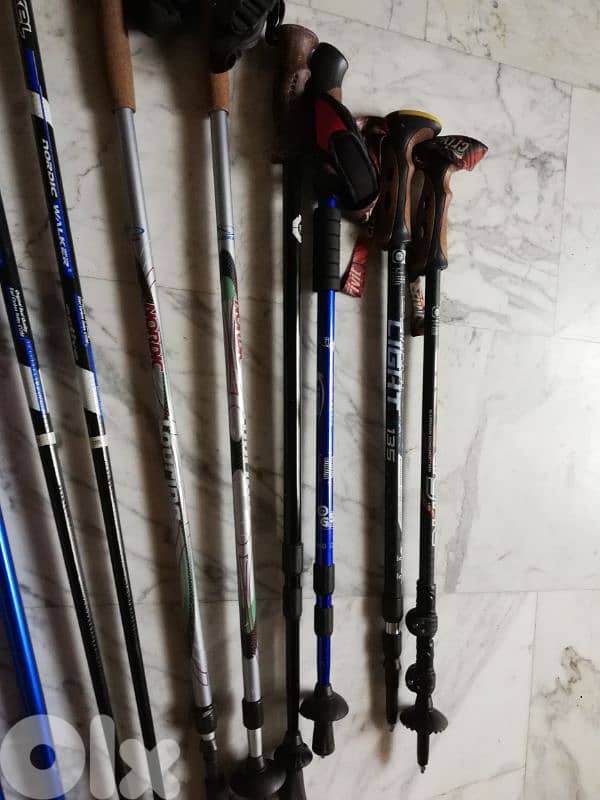 hiking sticks 2