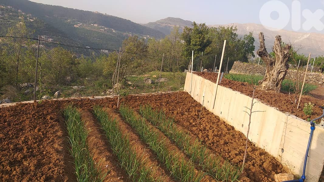 L19236 - Land with Amazing Mountain View For Sale in Bteghrine 2