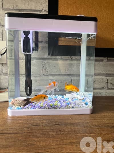 8 Liter aquarium with filter and tri color LED