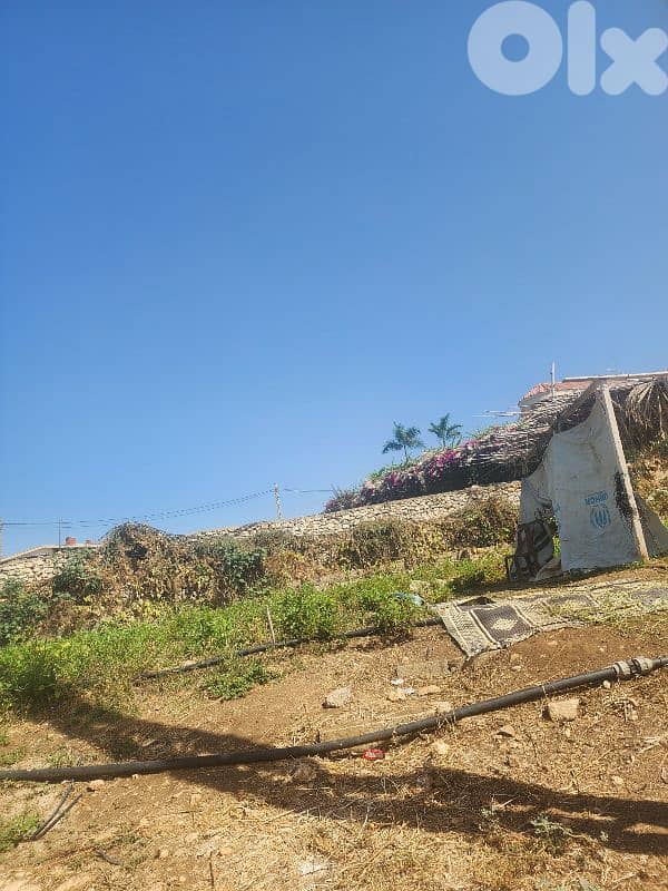 land for sale in rmayleh أرض للبيع في الرملية 3