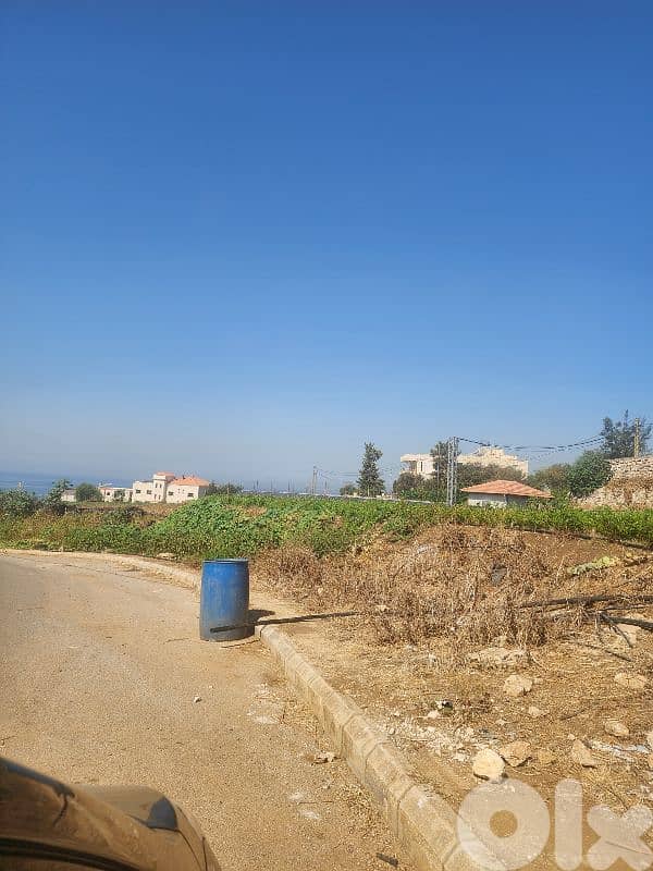 land for sale in rmayleh أرض للبيع في الرملية 4