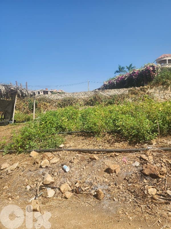 land for sale in rmayleh أرض للبيع في الرملية 6