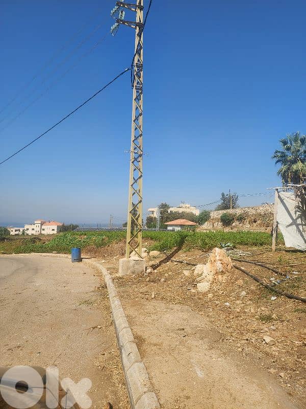 land for sale in rmayleh أرض للبيع في الرملية 7