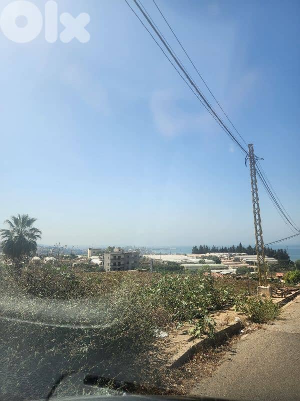 land for sale in rmayleh أرض للبيع في الرملية 8