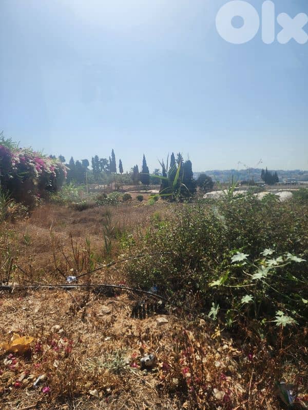 land for sale in rmayleh أرض للبيع في الرملية 10