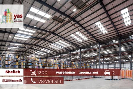 Sheileh 1200m2 Warehouse | Prime Opportunity | Rent | 3100m2 Land |TY